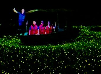 luciernagas limoncocha