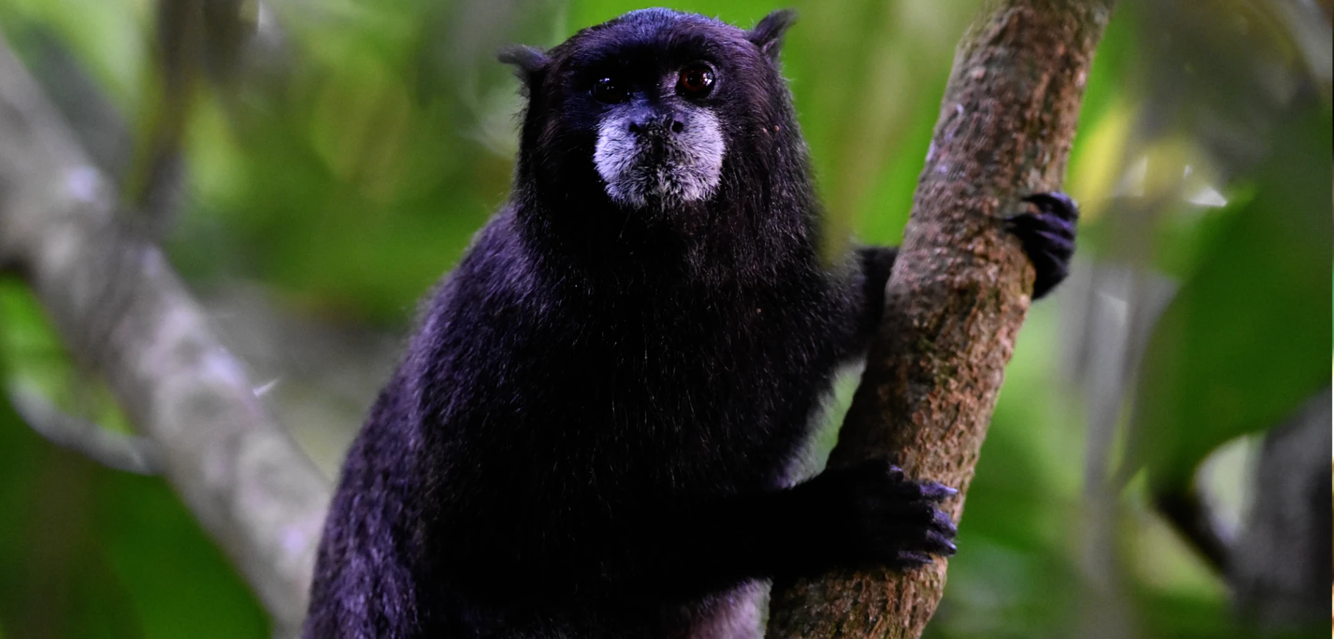 cuyabeno fullday tour