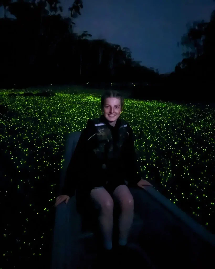 lucierngas limoncocha