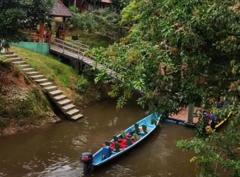 amazonia ecuatoriana
