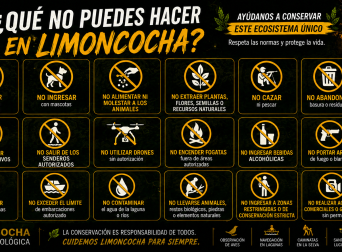 que no hacer en limoncocha