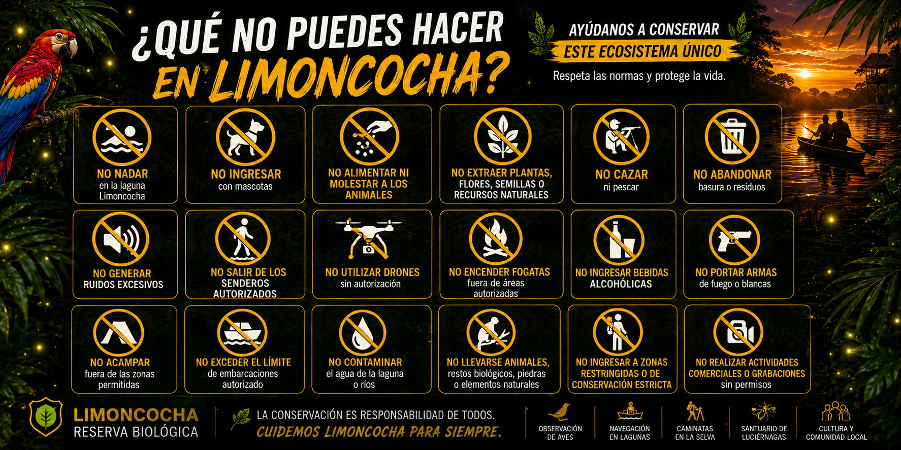 que no hacer en limoncocha